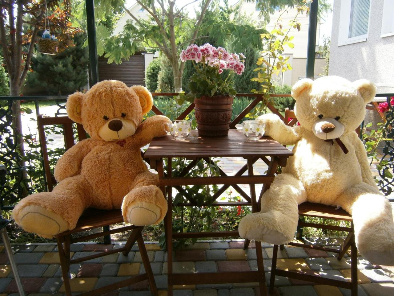 Guest House Butterfly Wing Odessa Esterno foto
